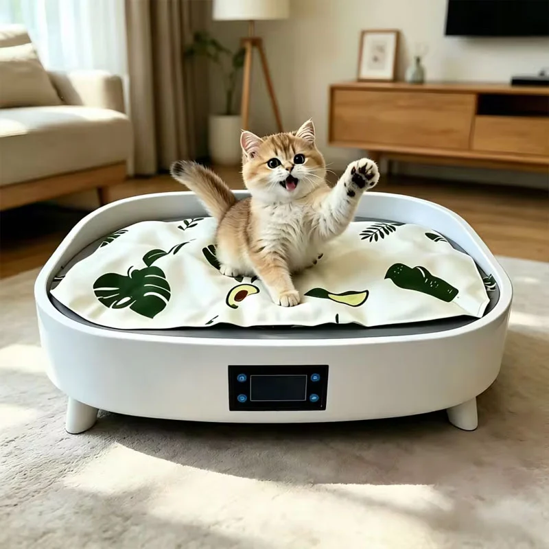 Katzenbett für den Sommer